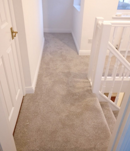 Carpet Supplier