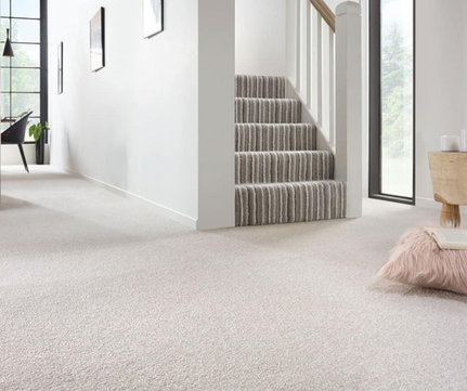 Carpet Supplier