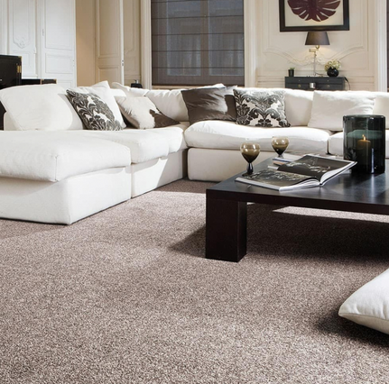 Carpet Supplier