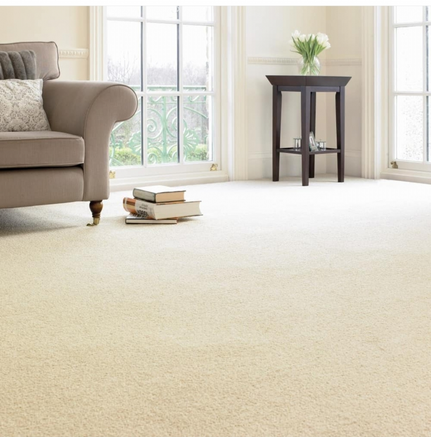 Carpet Supplier